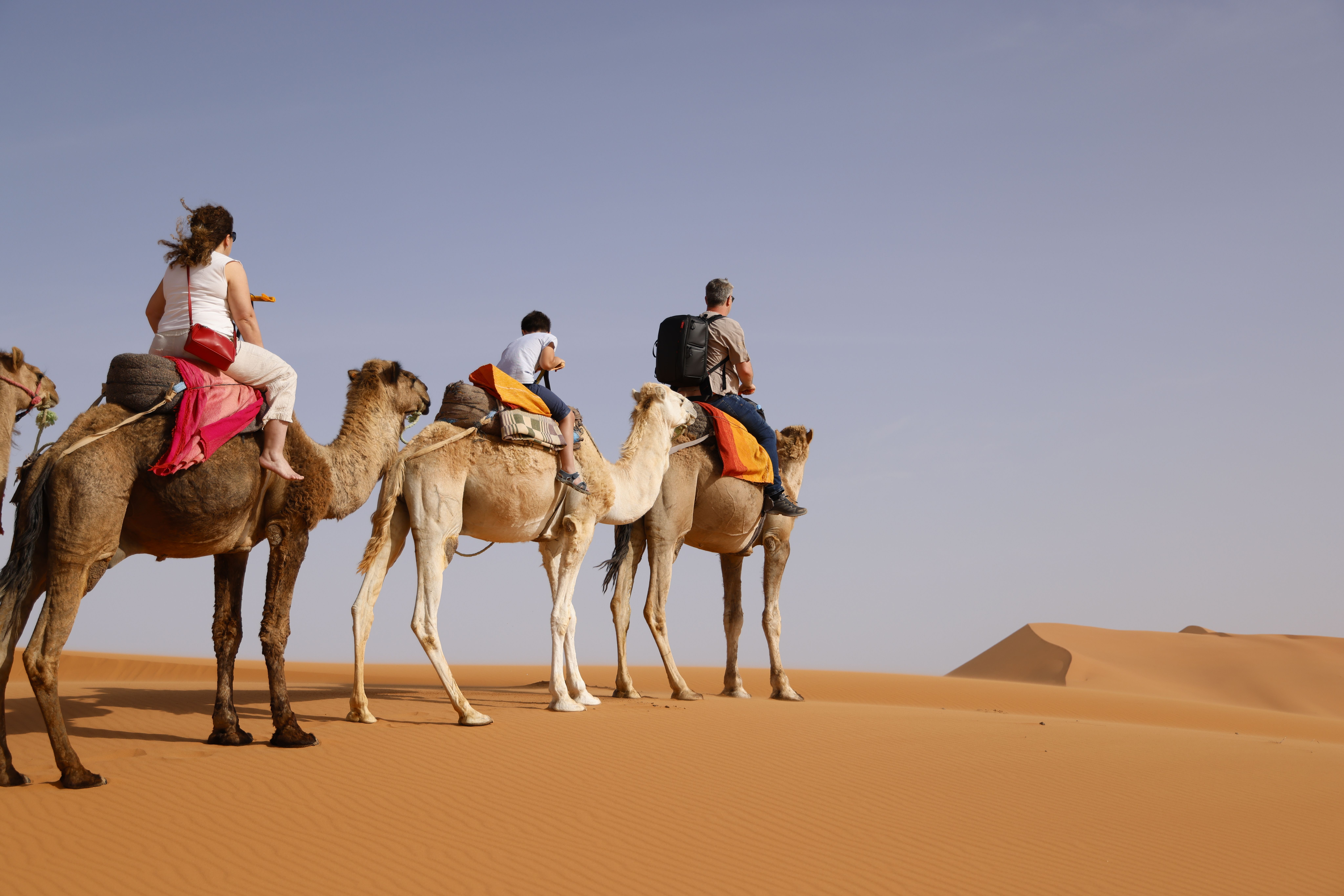 The Sahara